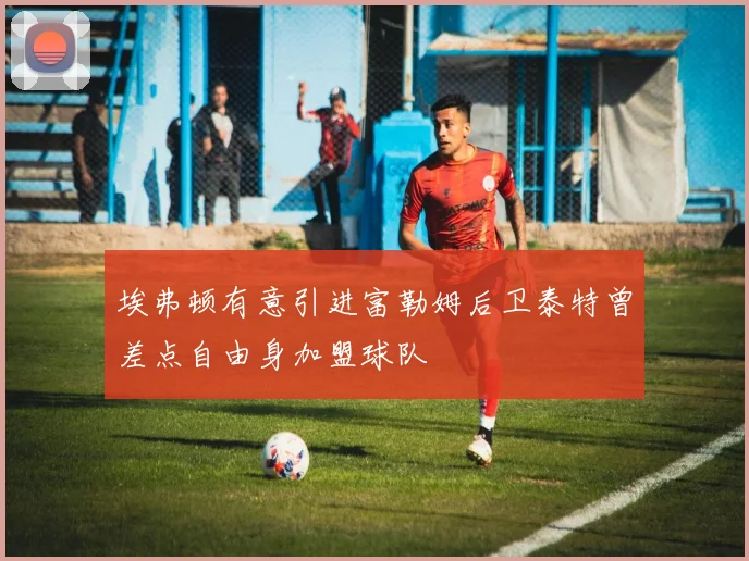 埃弗顿有意引进富勒姆后卫泰特曾差点自由身加盟球队